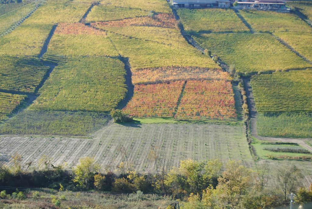 Agriturismo I Grappoli Serralunga d'Alba Extérieur photo