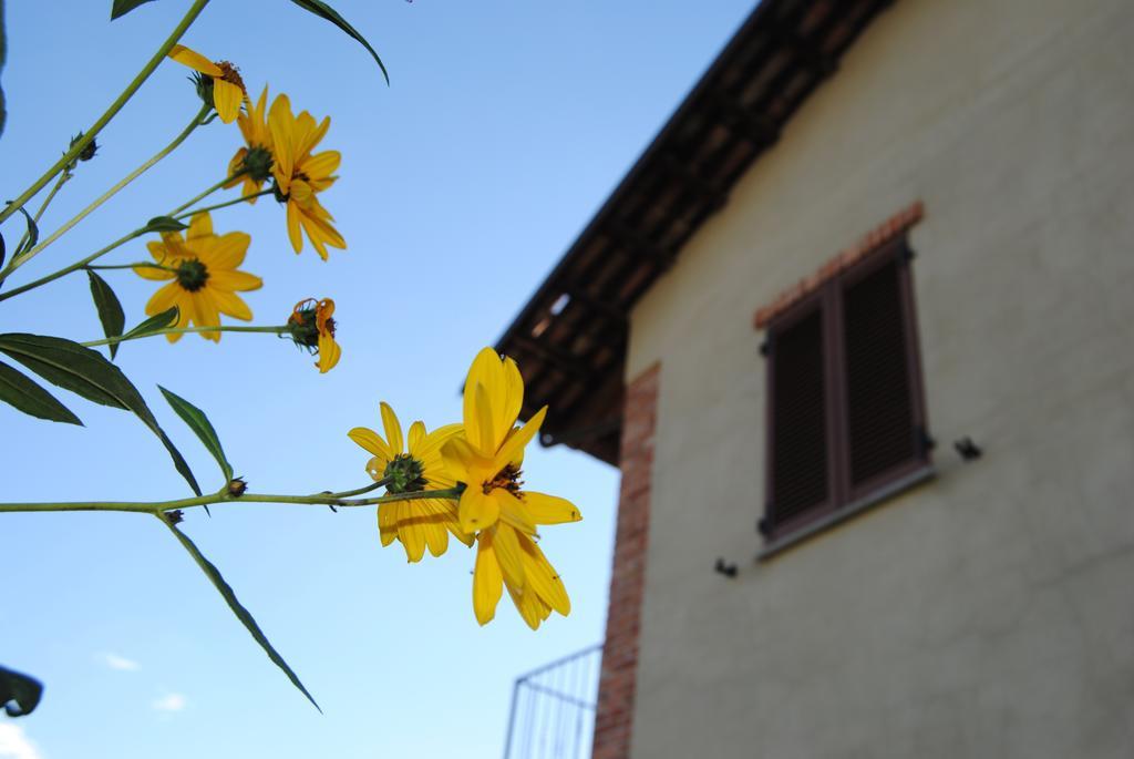 Agriturismo I Grappoli Serralunga d'Alba Extérieur photo